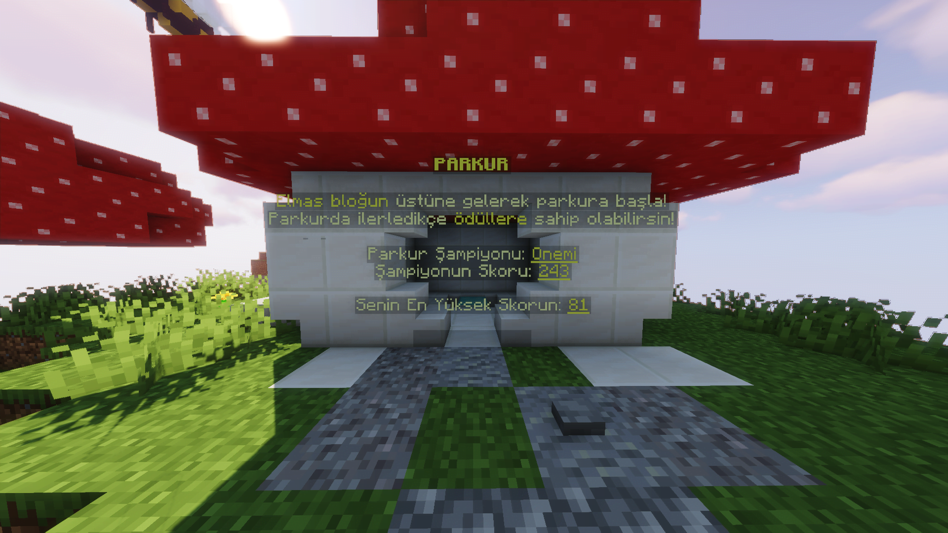 2022-08-19_20.55.43.png