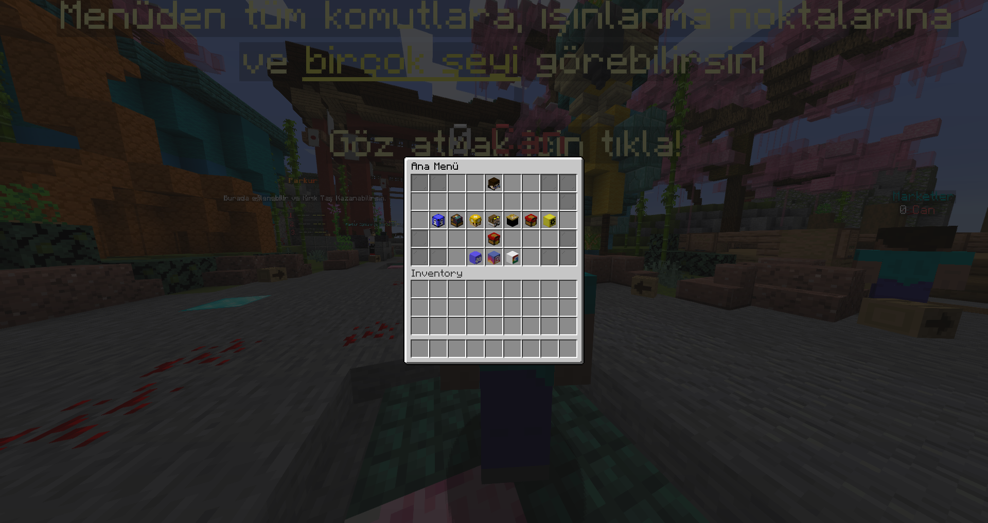 2024-03-07_12.20.48.png