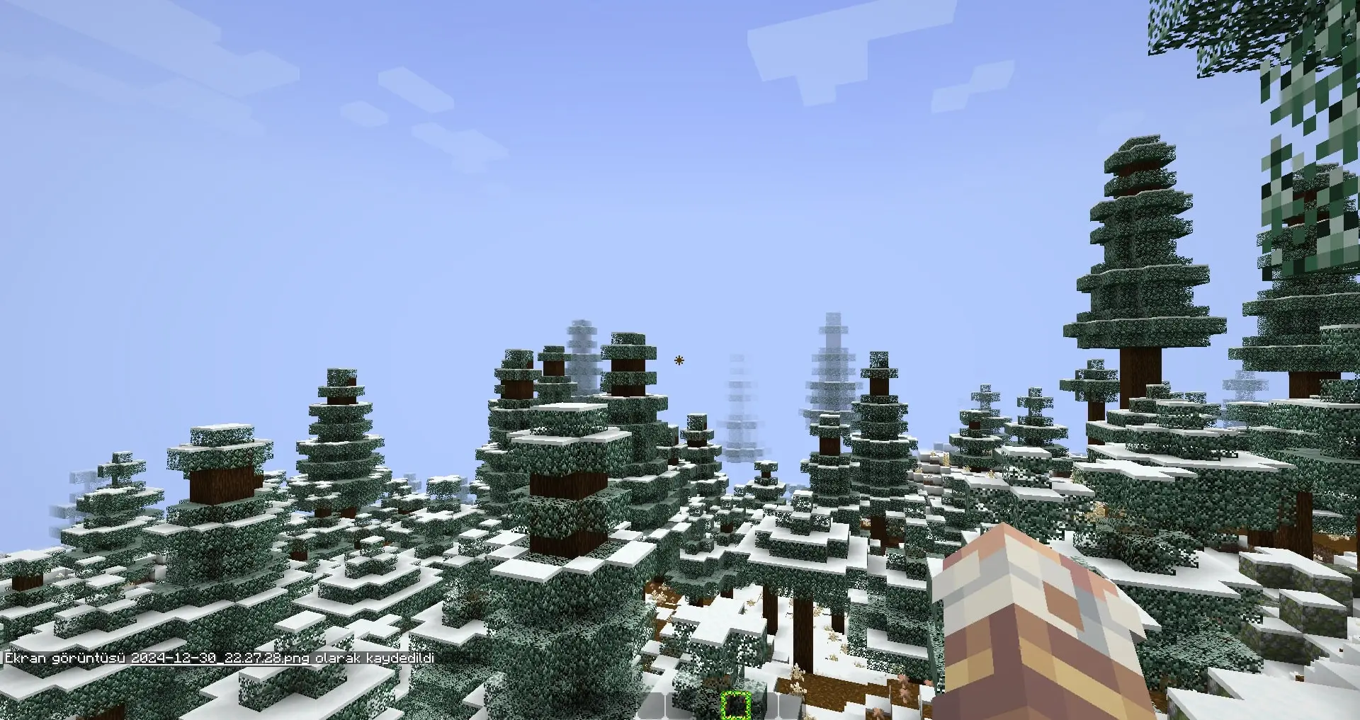 2024-12-30_22.27.31.webp