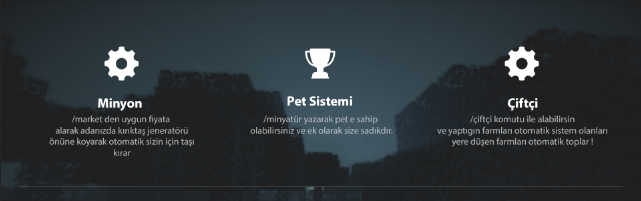 3._sayfa.png
