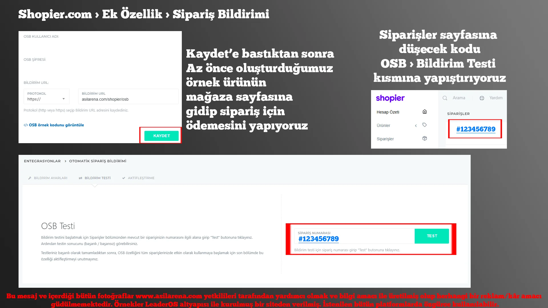 3.webp