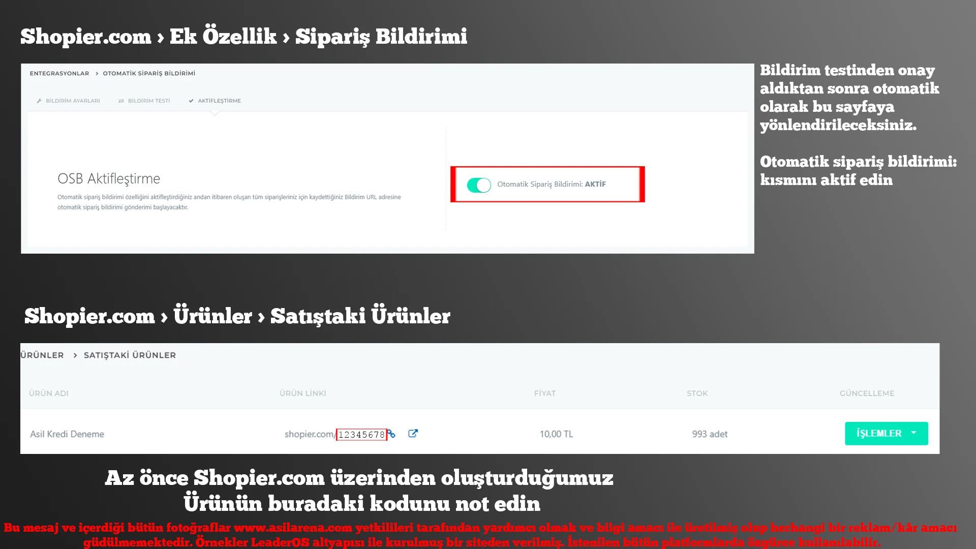 4.webp