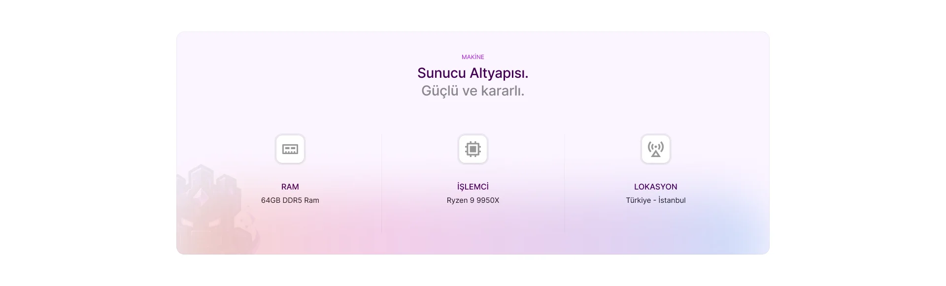 4.webp