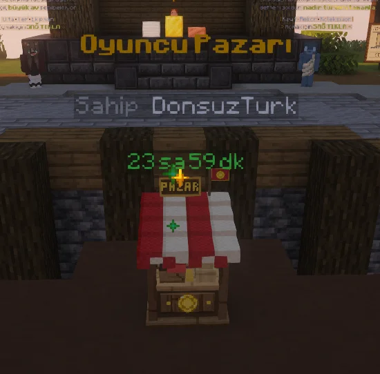 41.webp