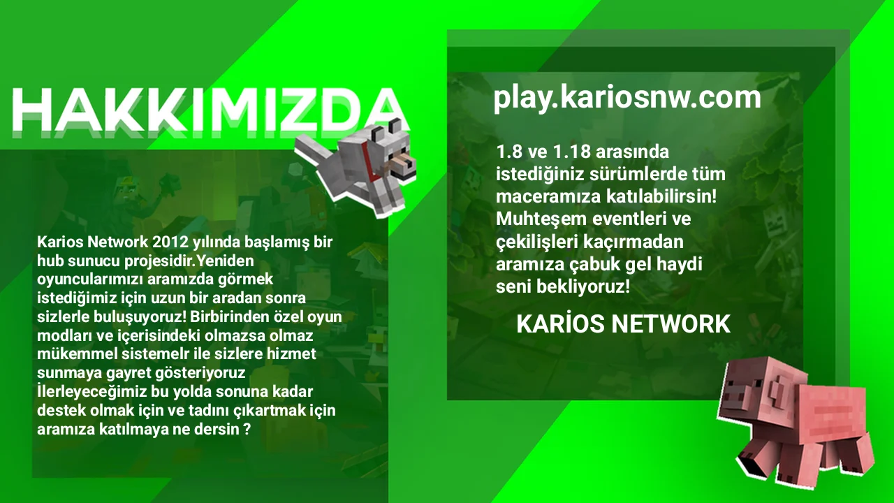 4447.webp