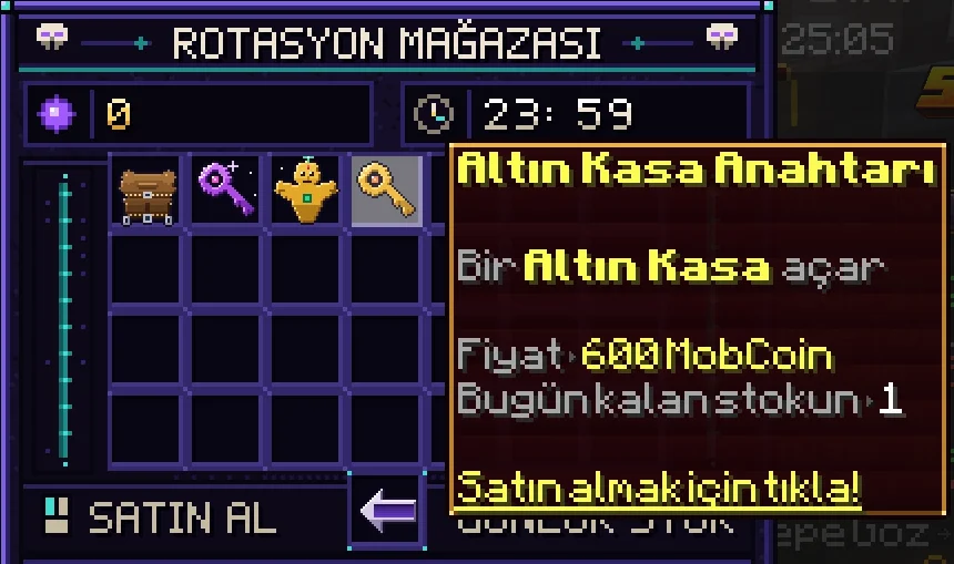 45.webp