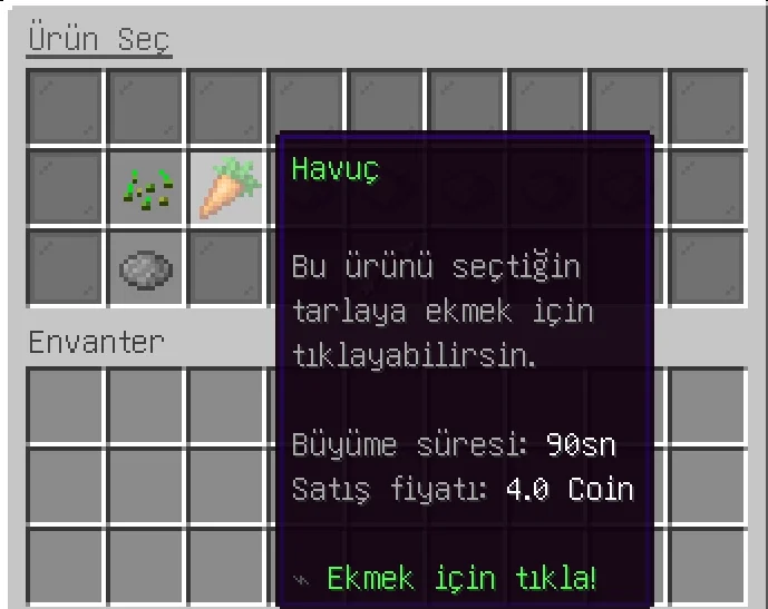 5.webp