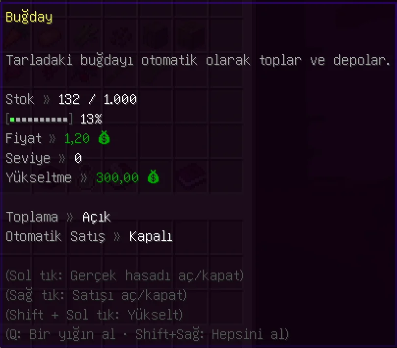 5.webp