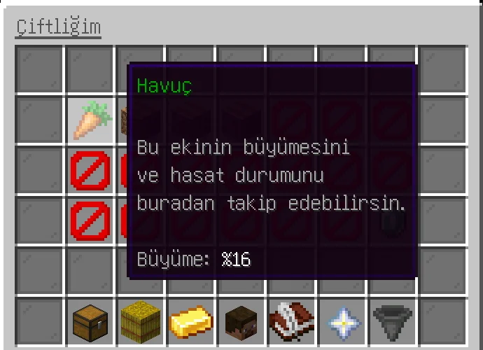 7.webp