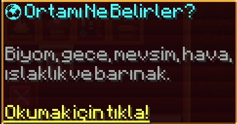 73.webp