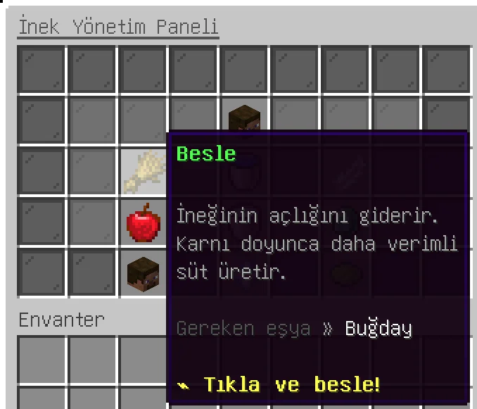 9.webp