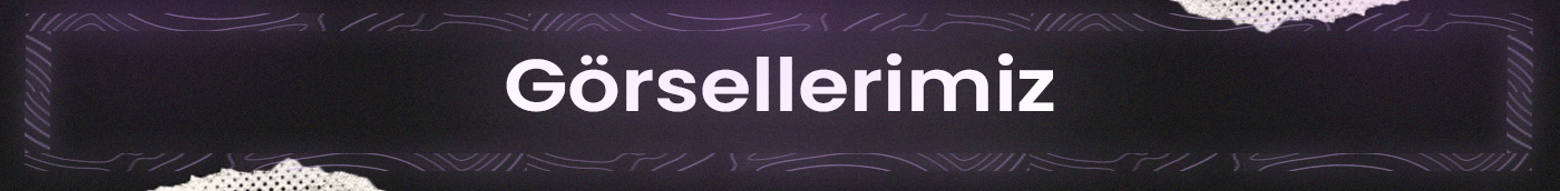 AnarsiNetwork_Gorseller.png