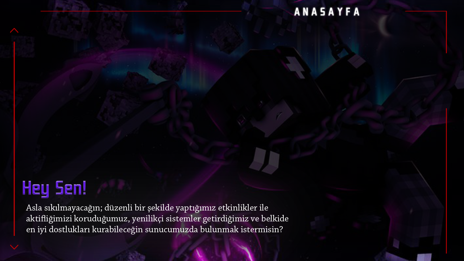 ANASAYFA.png