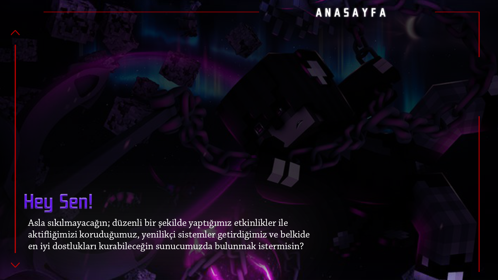ANASAYFA.png