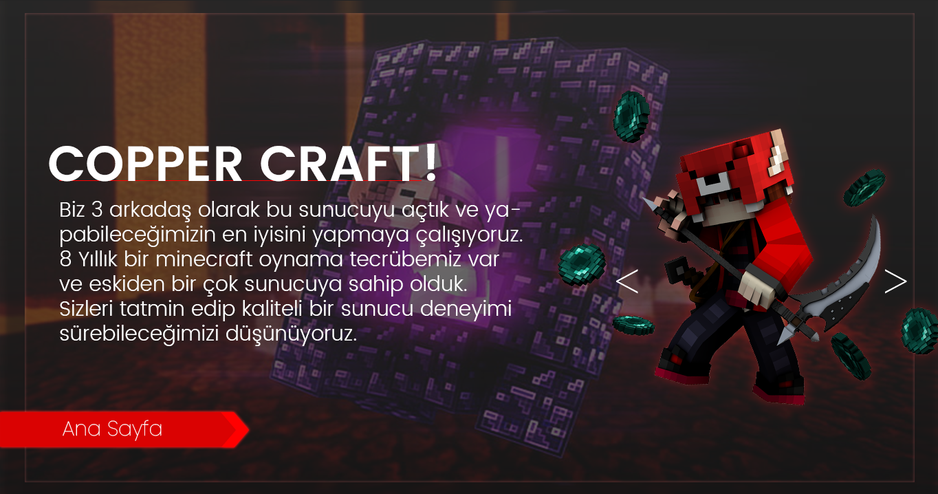 anasayfa.png