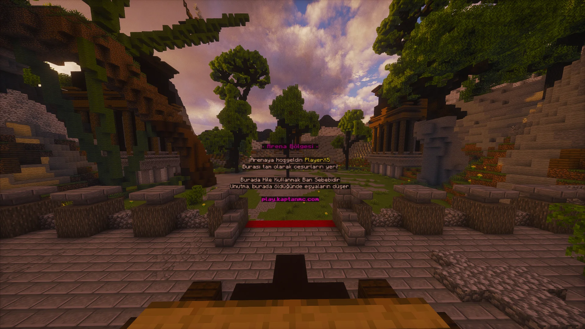 arena.webp