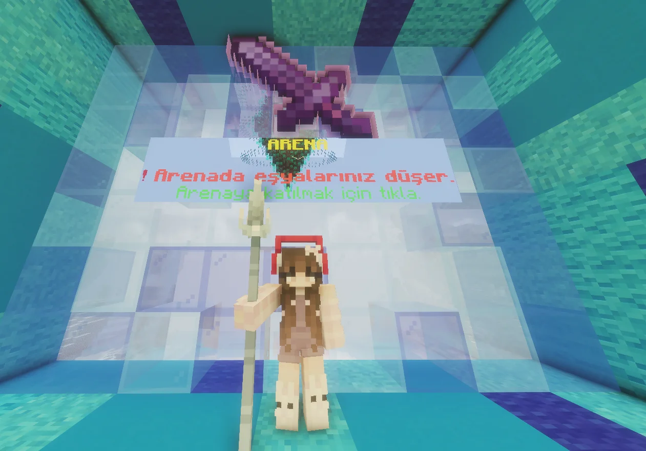 ARENA1.webp