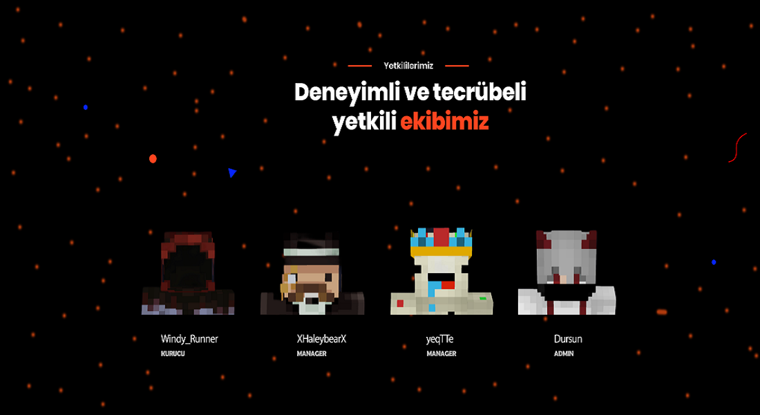 asdasdasda yetki.png
