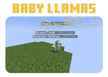 BABY-LAMA.gif