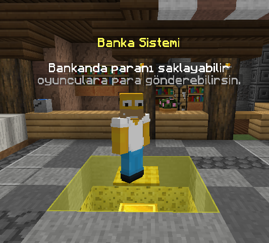 BankaSistemi.png