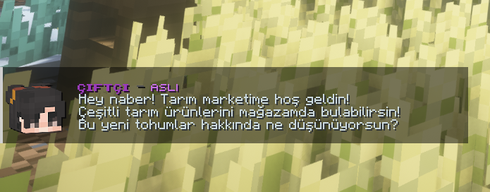 Base_Profile_Screenshot_2024.03.29_-_20.13.10.09-1.png
