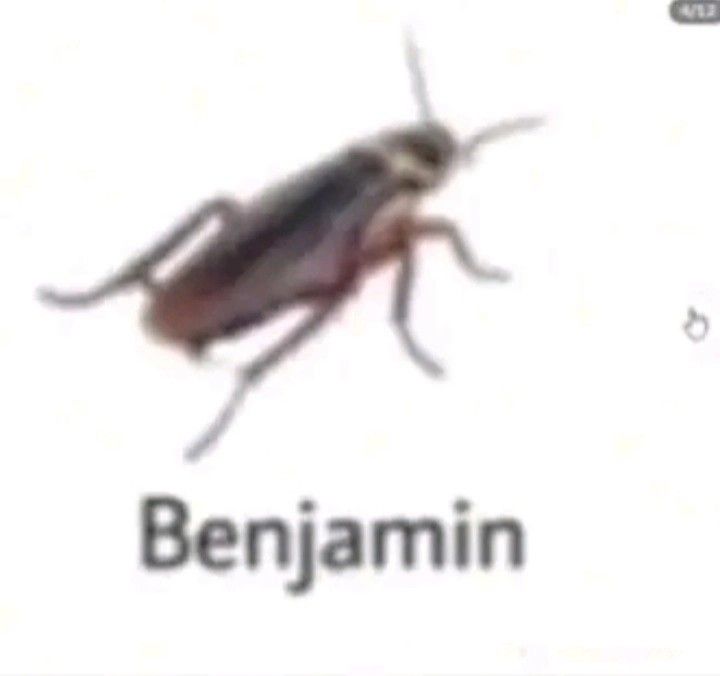 bnejamin.jpg