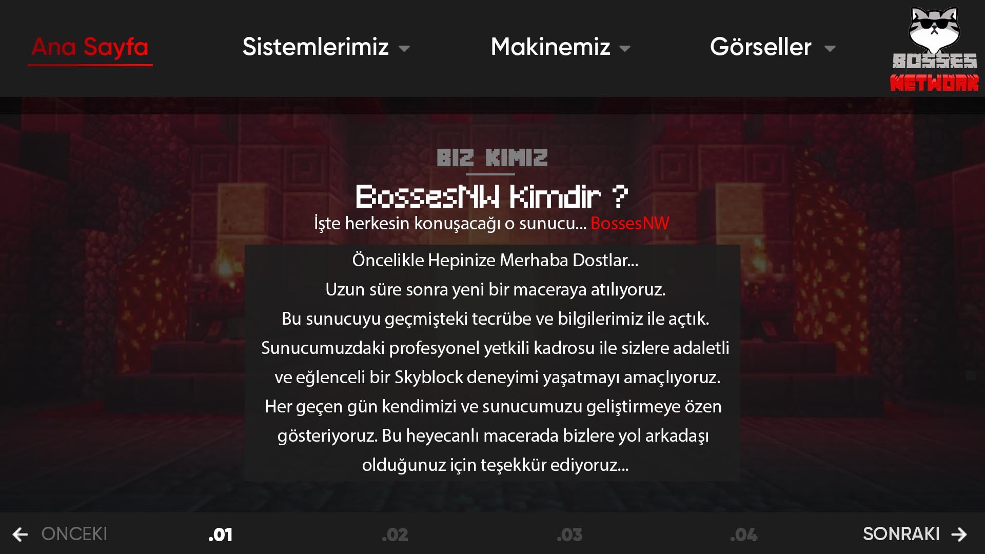bsnw2.jpg