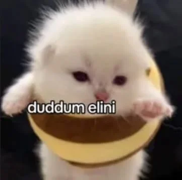 c0c8eaa1ba4b4323b49610532c273cb3.webp