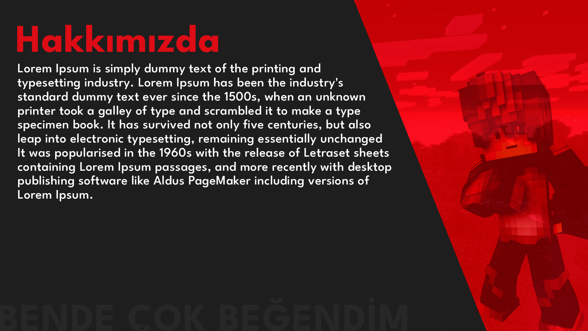 Çalışma yüzeyi 2.png