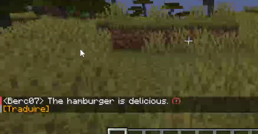 ChaTranslateEN_FR.gif