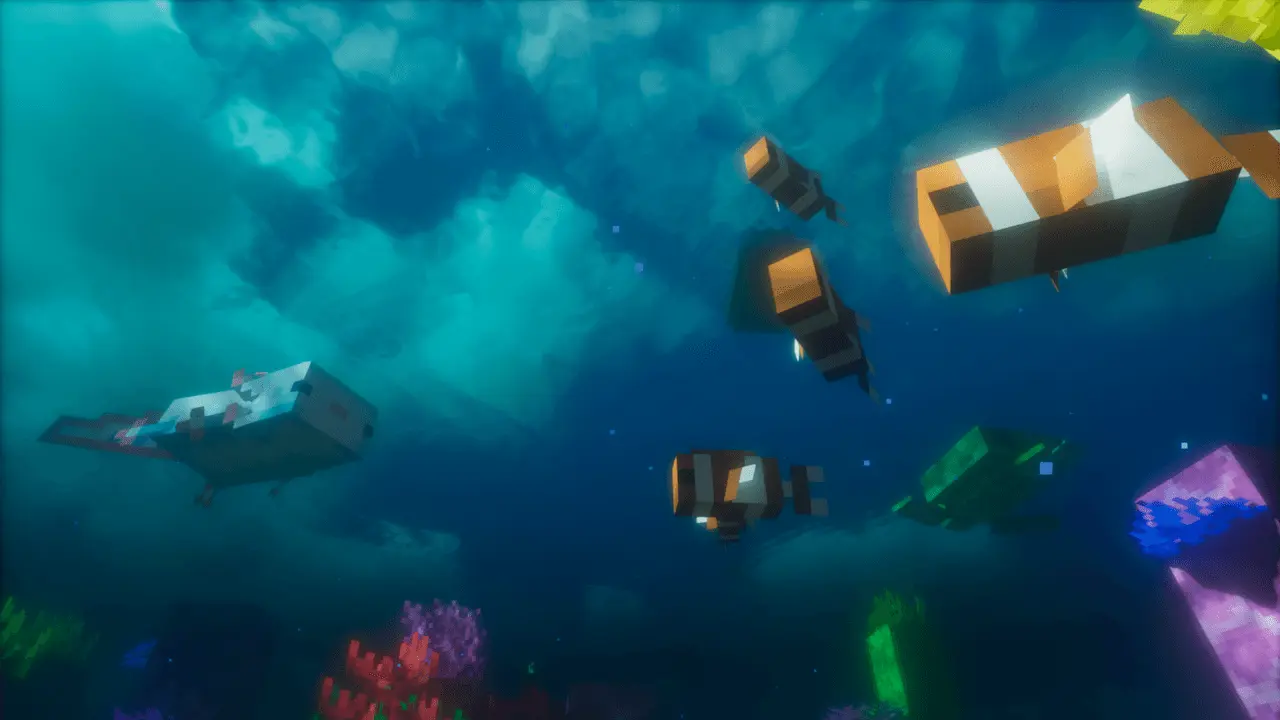 clownfish.webp