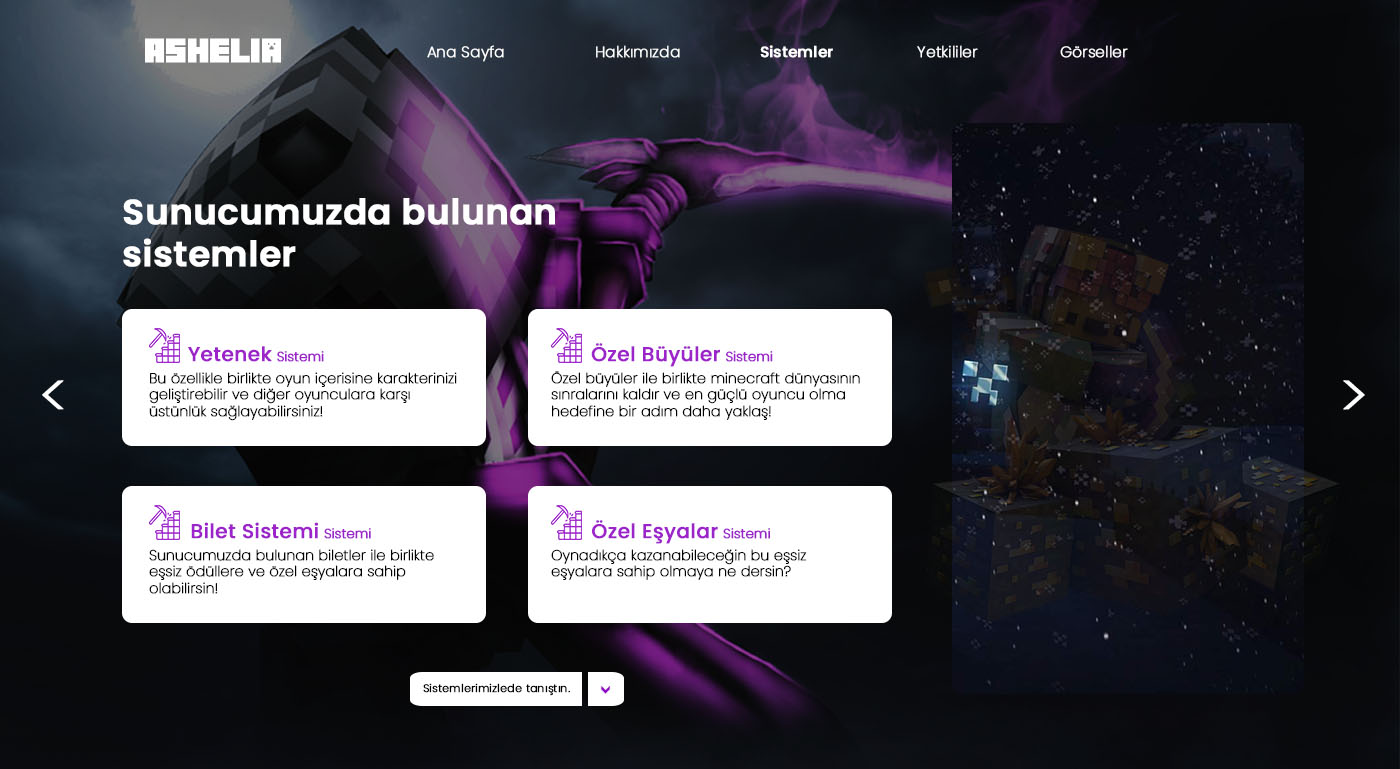darksistemler kopya.jpg
