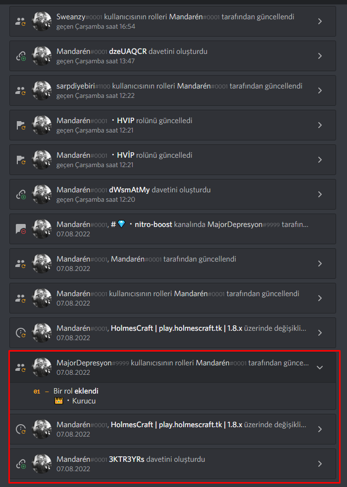 denetim.png