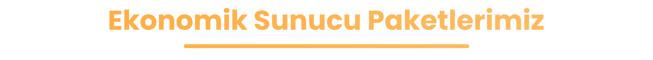 Ekonomik Sunucu Paketlerimiz_00000.png