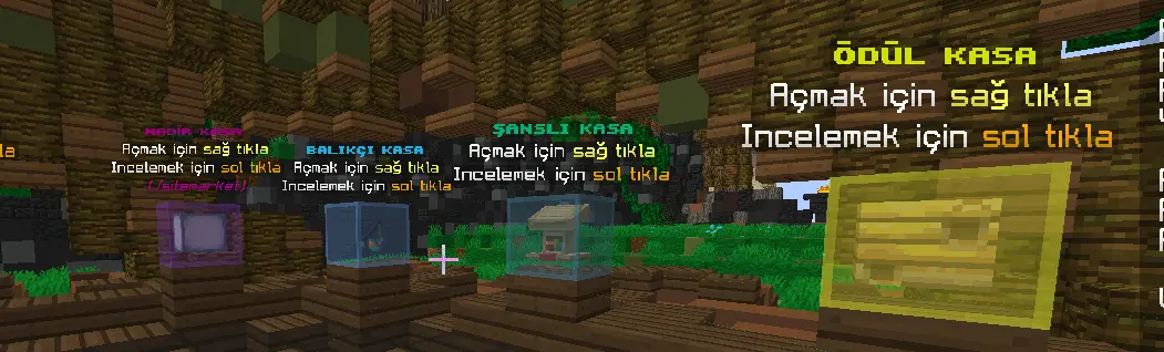 Ekran görüntüsü 2024-12-26 074605.webp