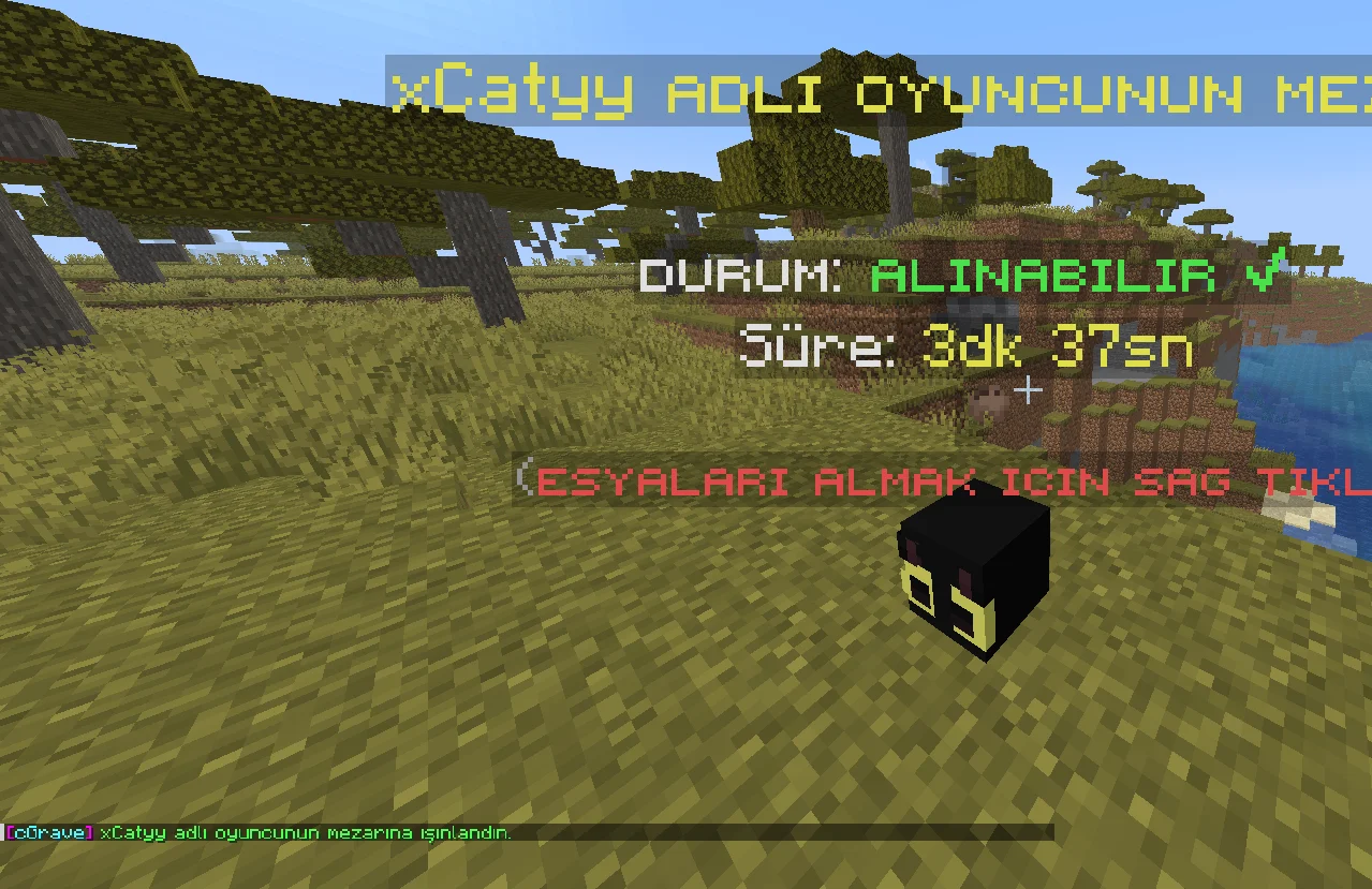 Ekran görüntüsü 2026-05-03 010009.webp