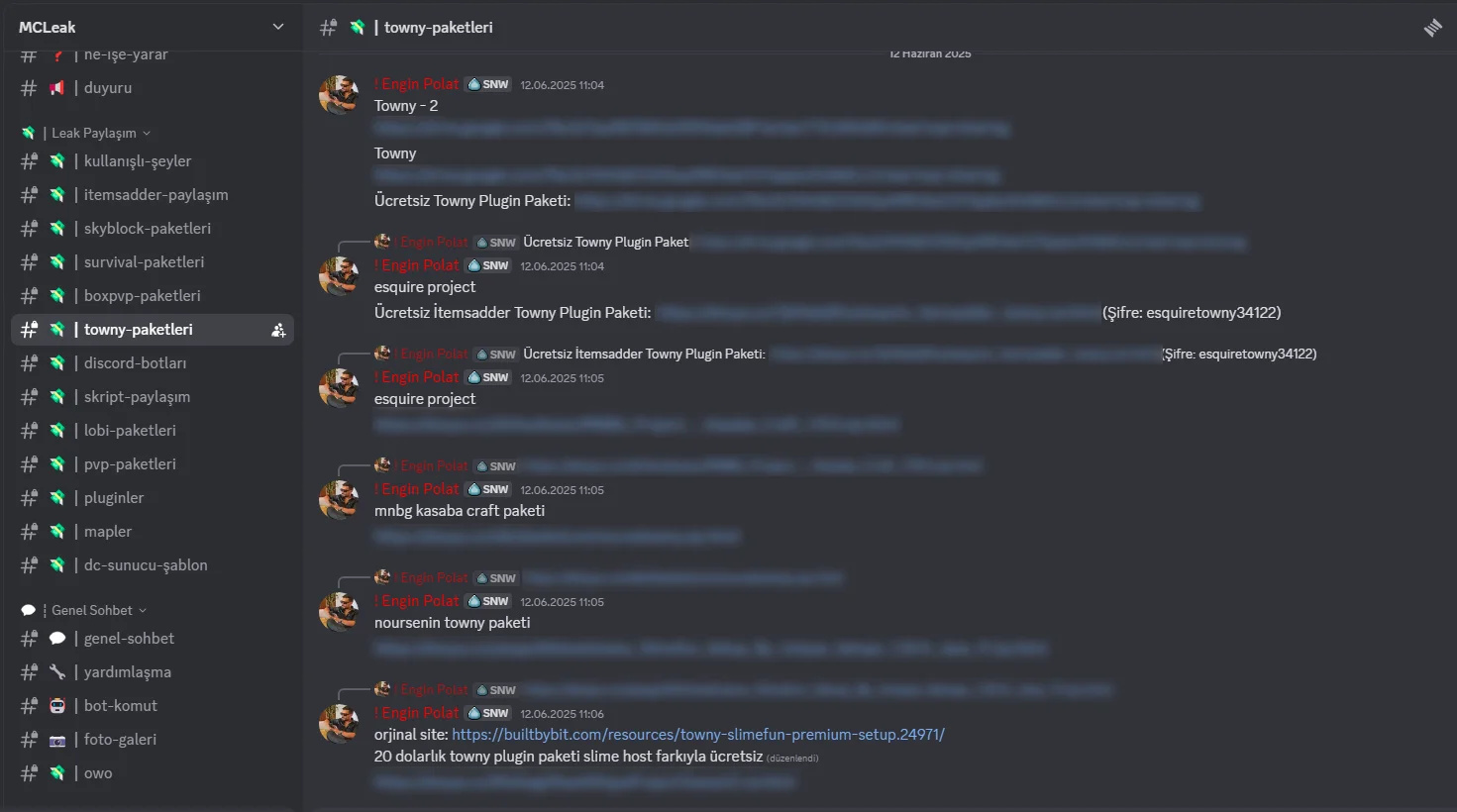 enginleak.webp