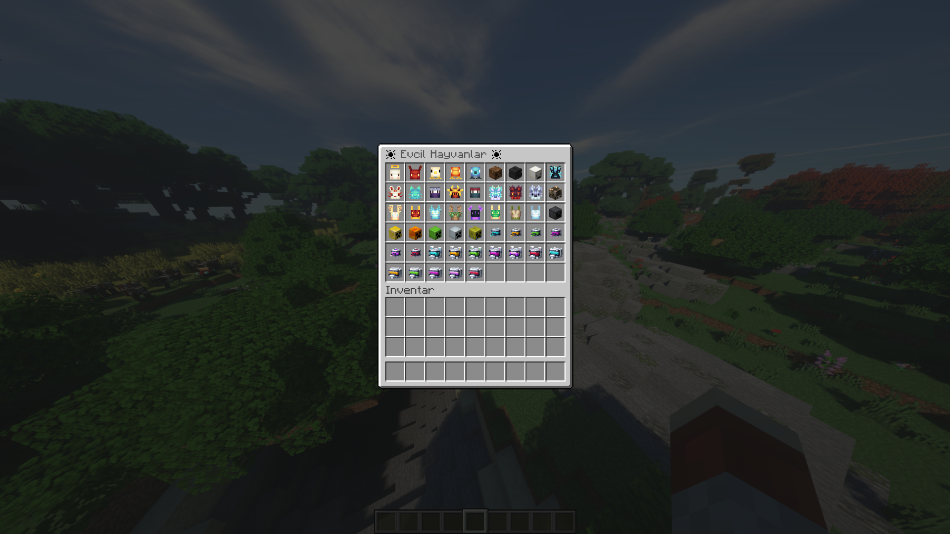 foto11.png