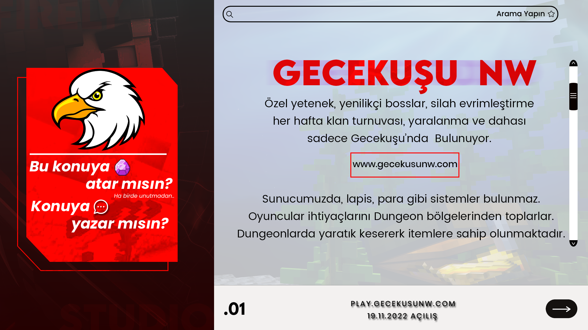 gecekusu_1.png