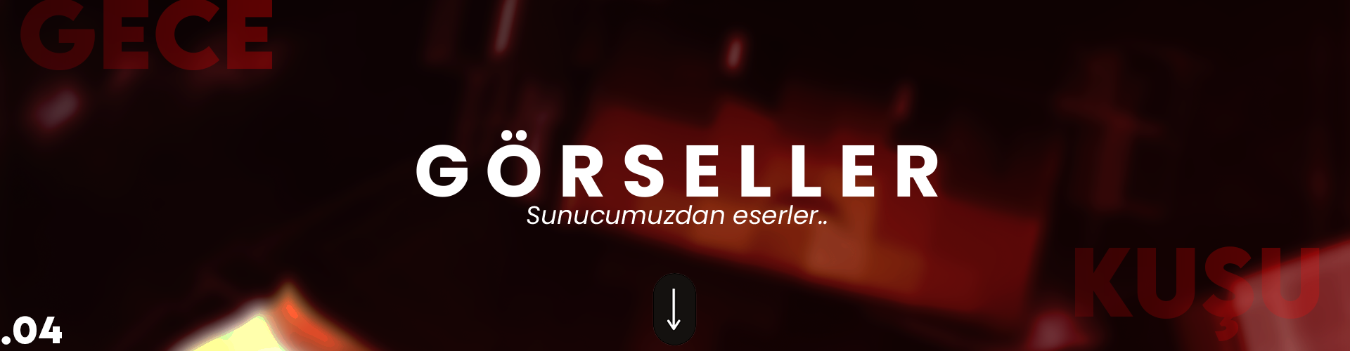 gecekusu_4.png