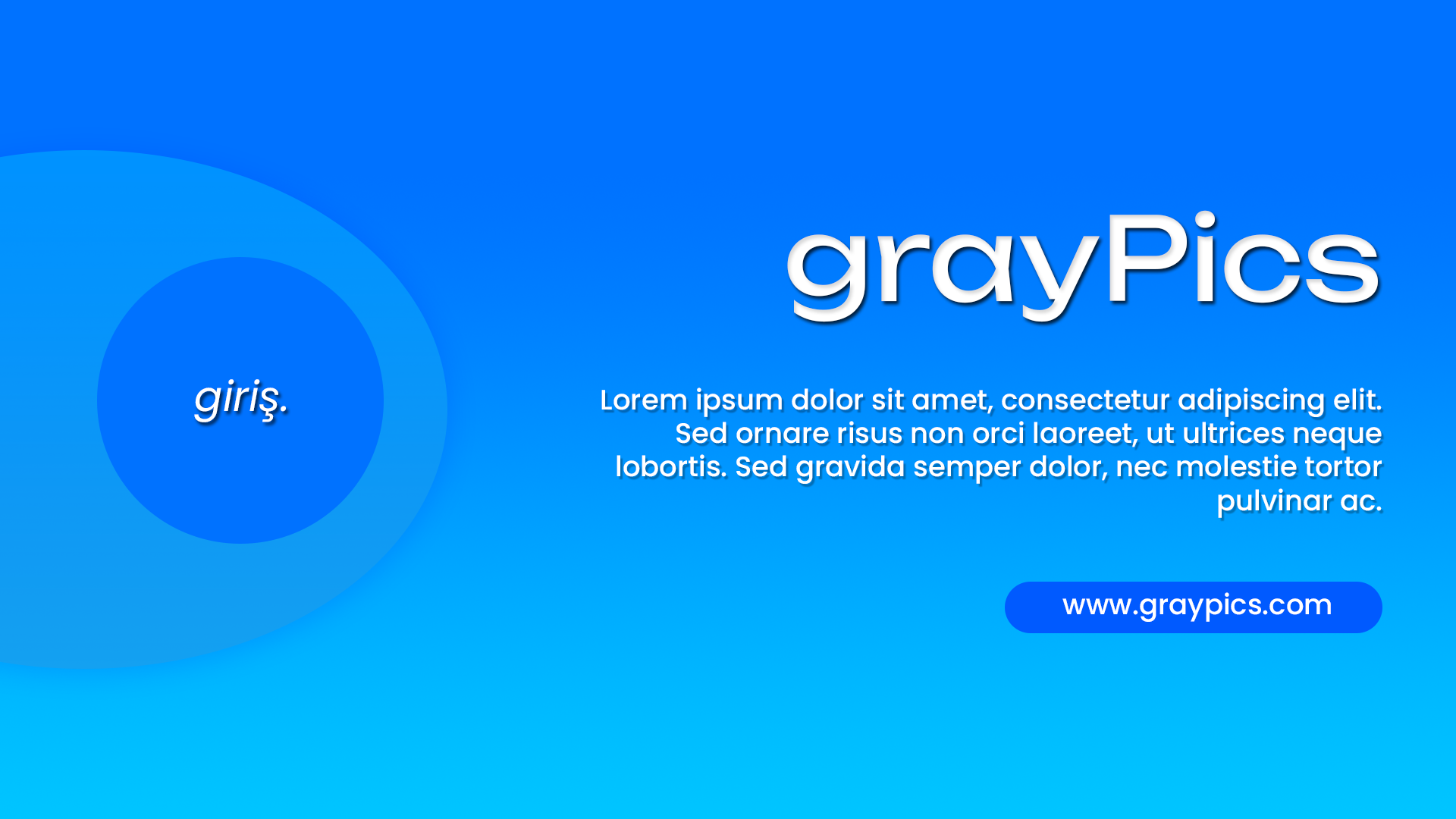 Giriş.png
