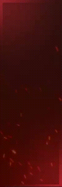 GloriaStudio_Ornek_Gif_Tasarm.gif