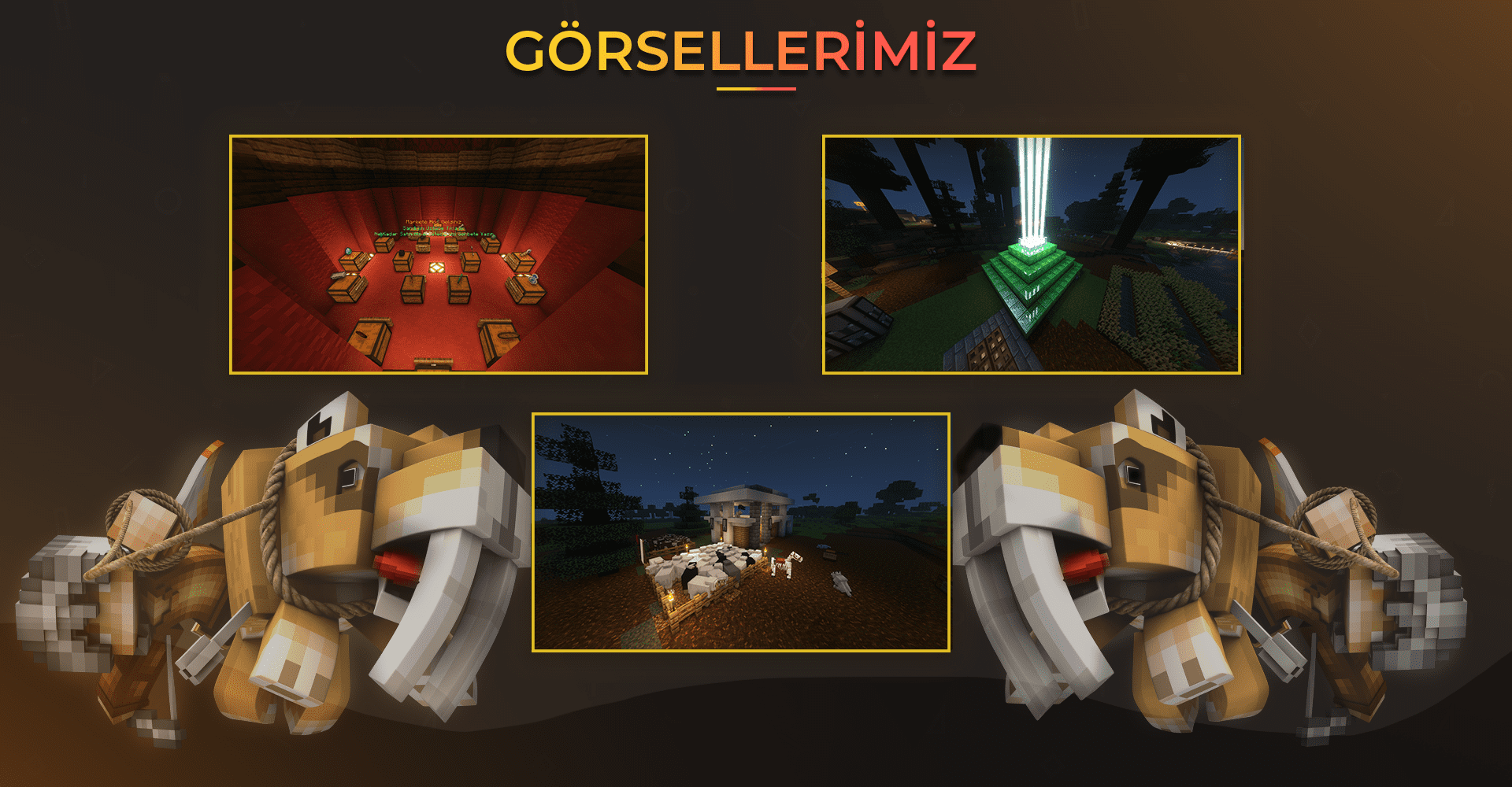Görsellerimiz kopya1.png