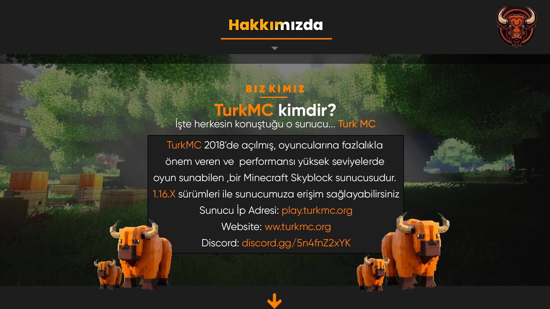 hakkmzda_konu_tasarm.png