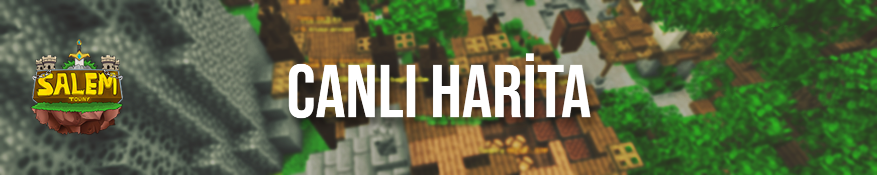 harita.png