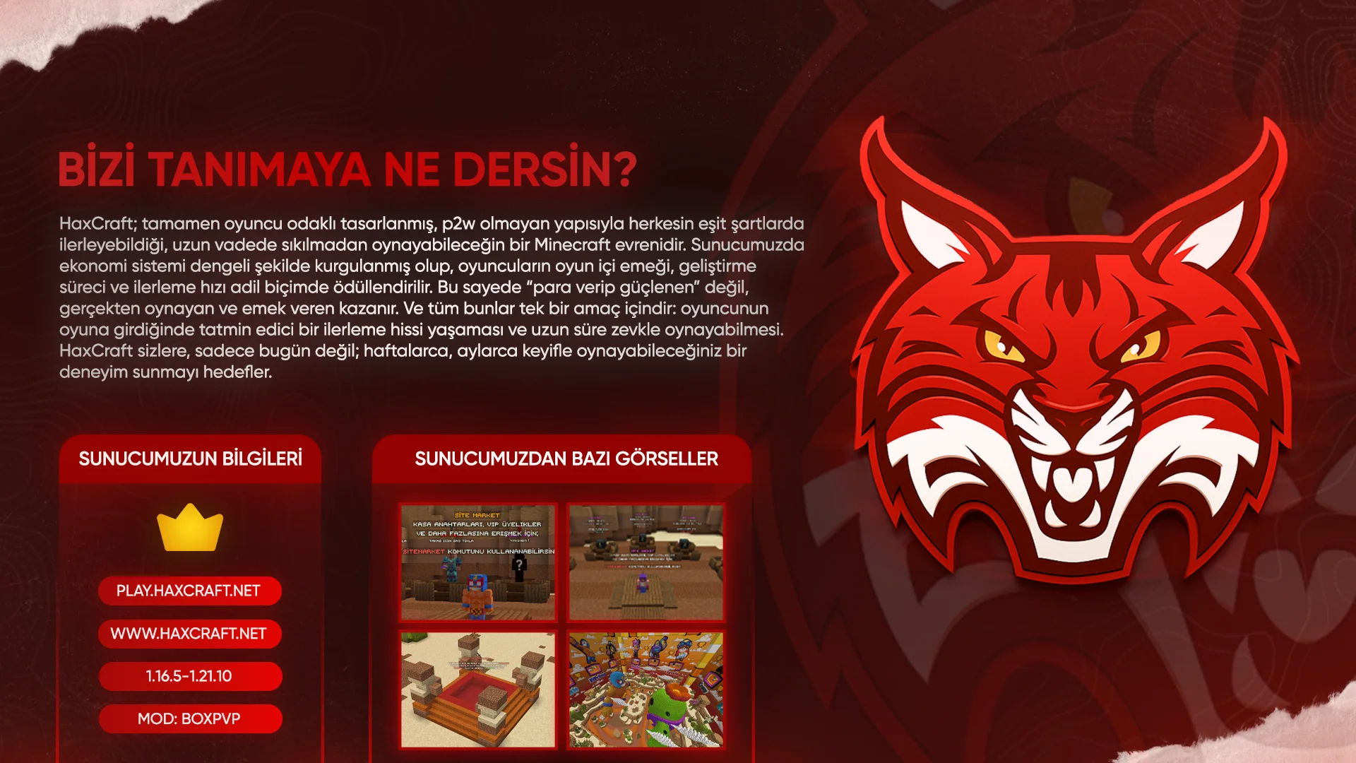 HaxCraftKonuTasarımı1.webp