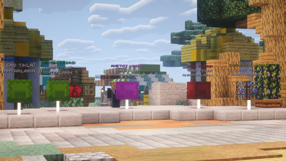 image2.webp
