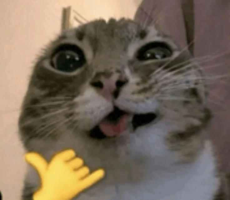 indir.webp
