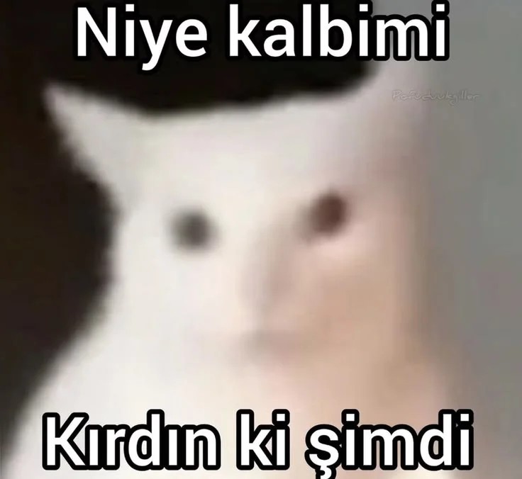 indir.webp