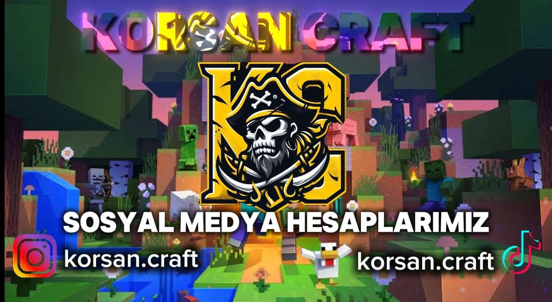 intsa bilgi korsan.jpg